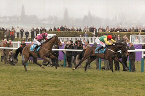 Sizing Europe winning the Queen Mother Champion Chase Cheltenham 2011