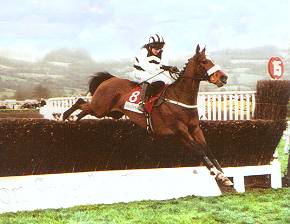 Moscow Flyer winning the Queen Mother Champion Chase Cheltenham 2003 & 2005