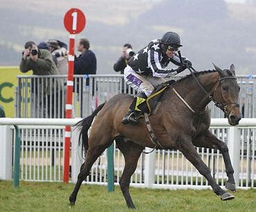 Imperial Commander winning Cheltenham Gold Cup