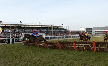 Quevega winning the David Nicholson Mares Hurdle, Cheltenham 2010