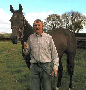 Ted McLaughlin Bloodstock Consultancy